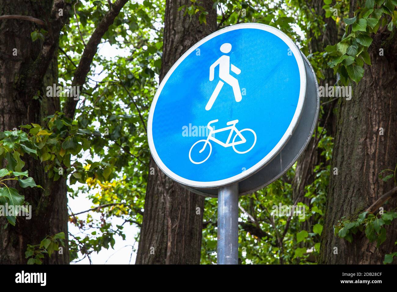 Biciclette e pedoni percorso. Foto di primo piano con segnale stradale circolare blu Foto Stock