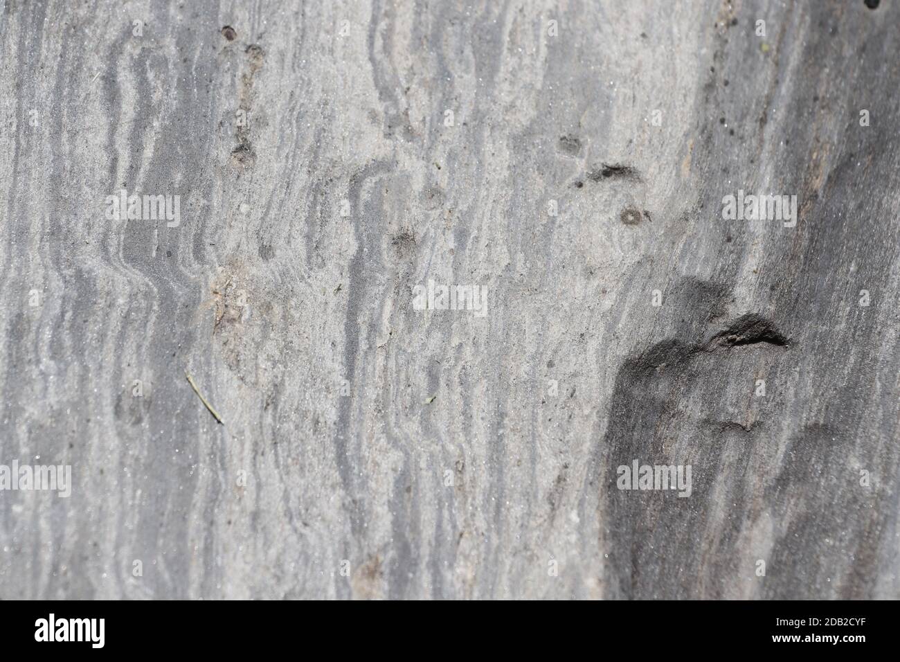 Quatz vene nella roccia visto da vicino. Foto Stock