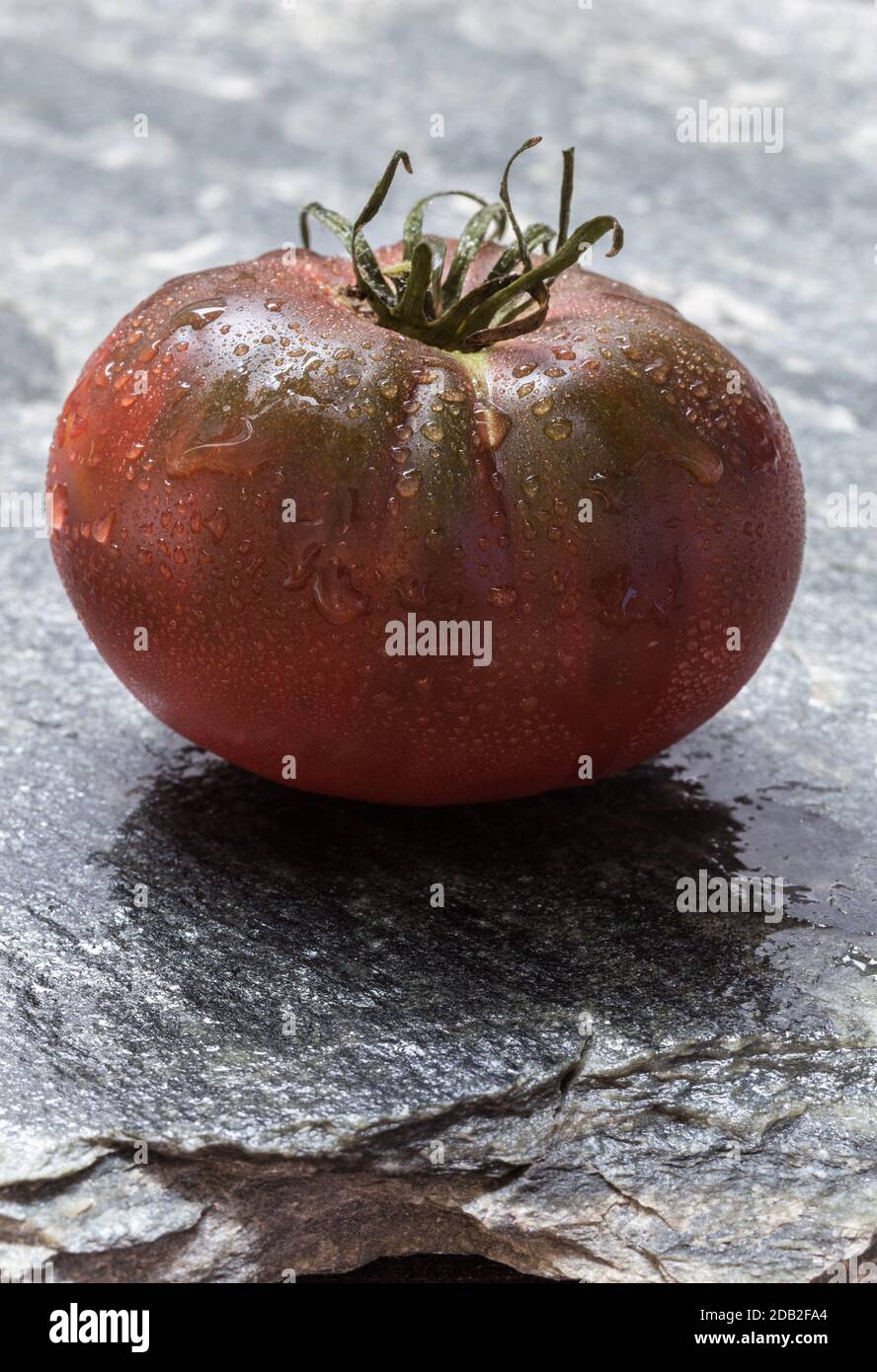 Pomodoro scuro su macro di fondo di pietra. Foto Stock