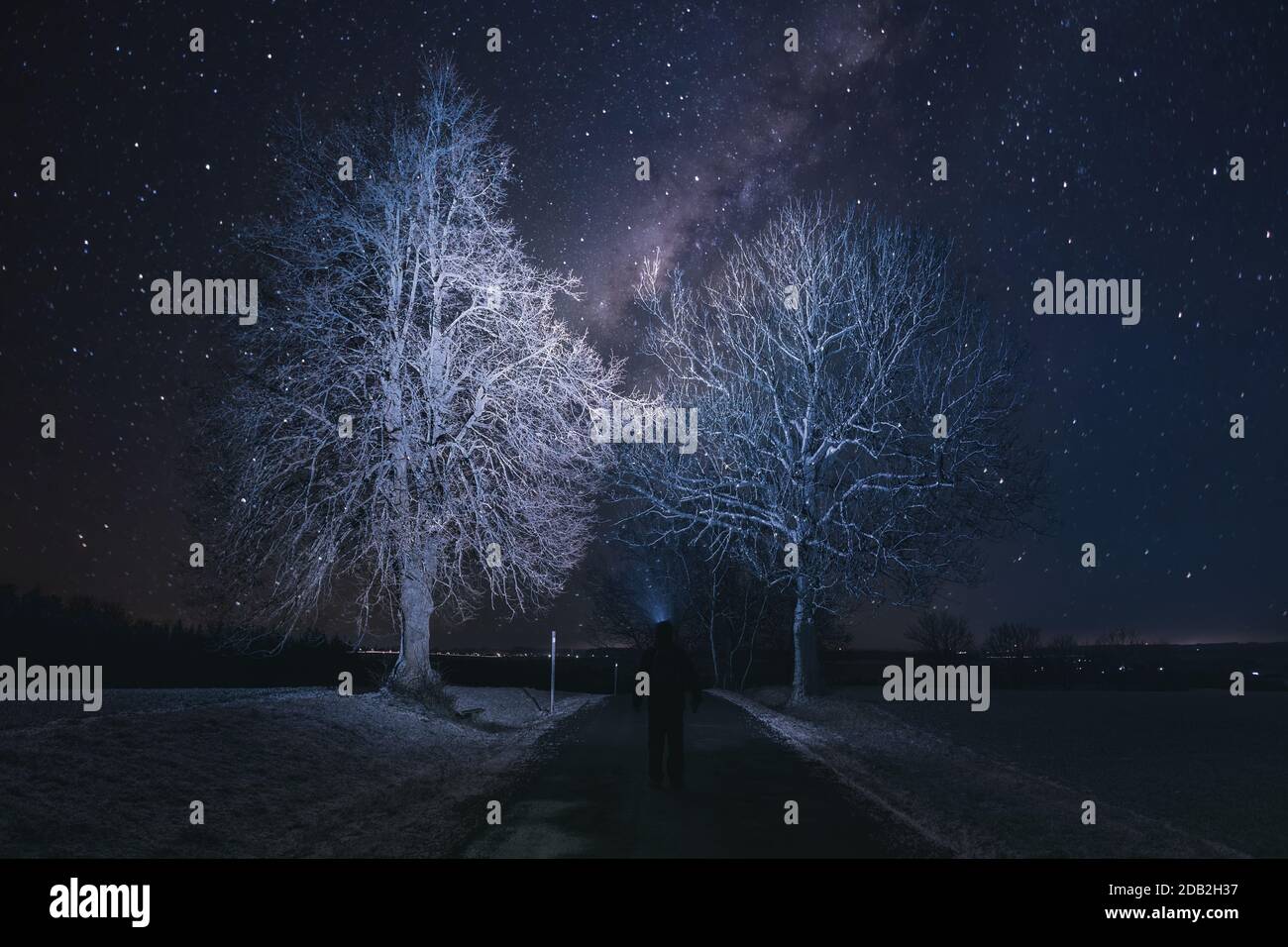 Silhouette di persona escursionista con torcia in testa guardando il cielo stellato e albero sulla strada Foto Stock