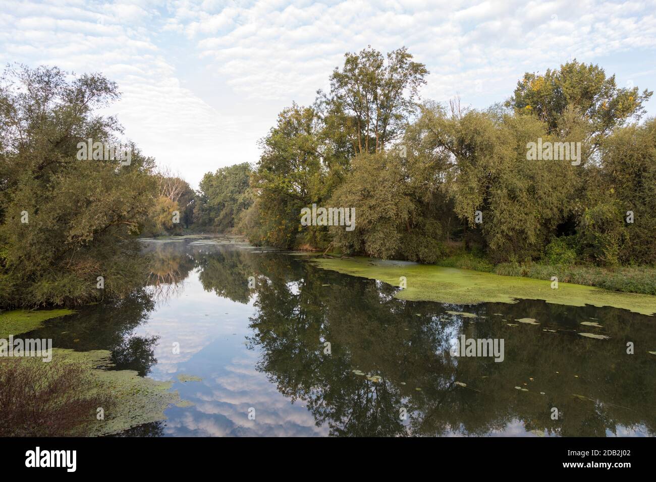 Backwater dell'Isar. Baviera, Germania Foto Stock