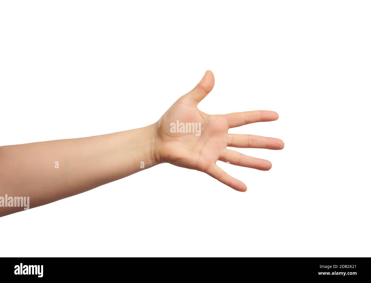 mano distesa d'uomo, mano aperta, parte del corpo isolata su fondo bianco, primo piano Foto Stock