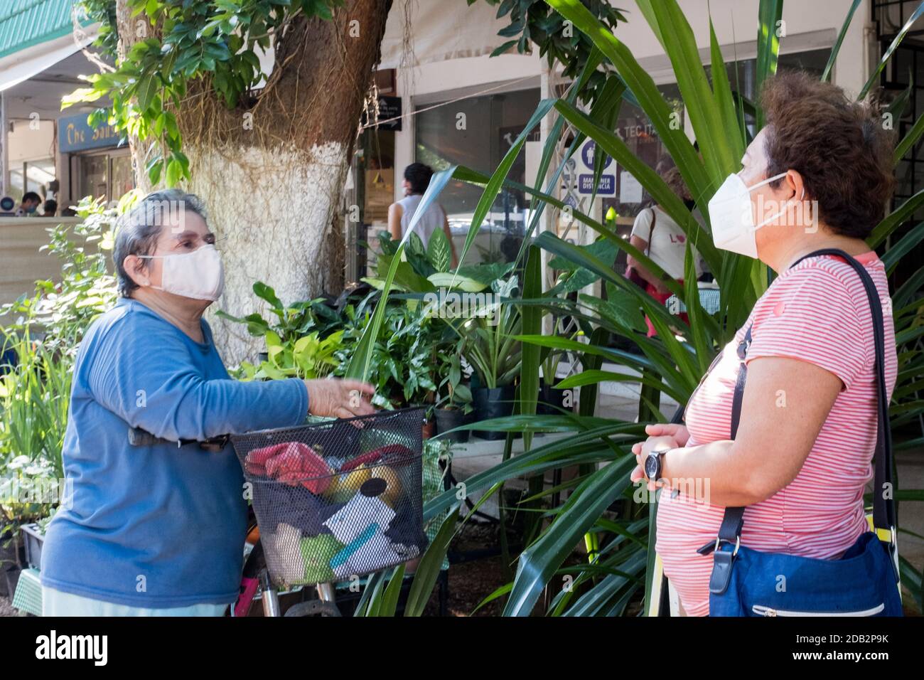 Donne messicane che indossano maschere facciali, Covid Pandemic, Meruda, Yucatan, Messico Foto Stock