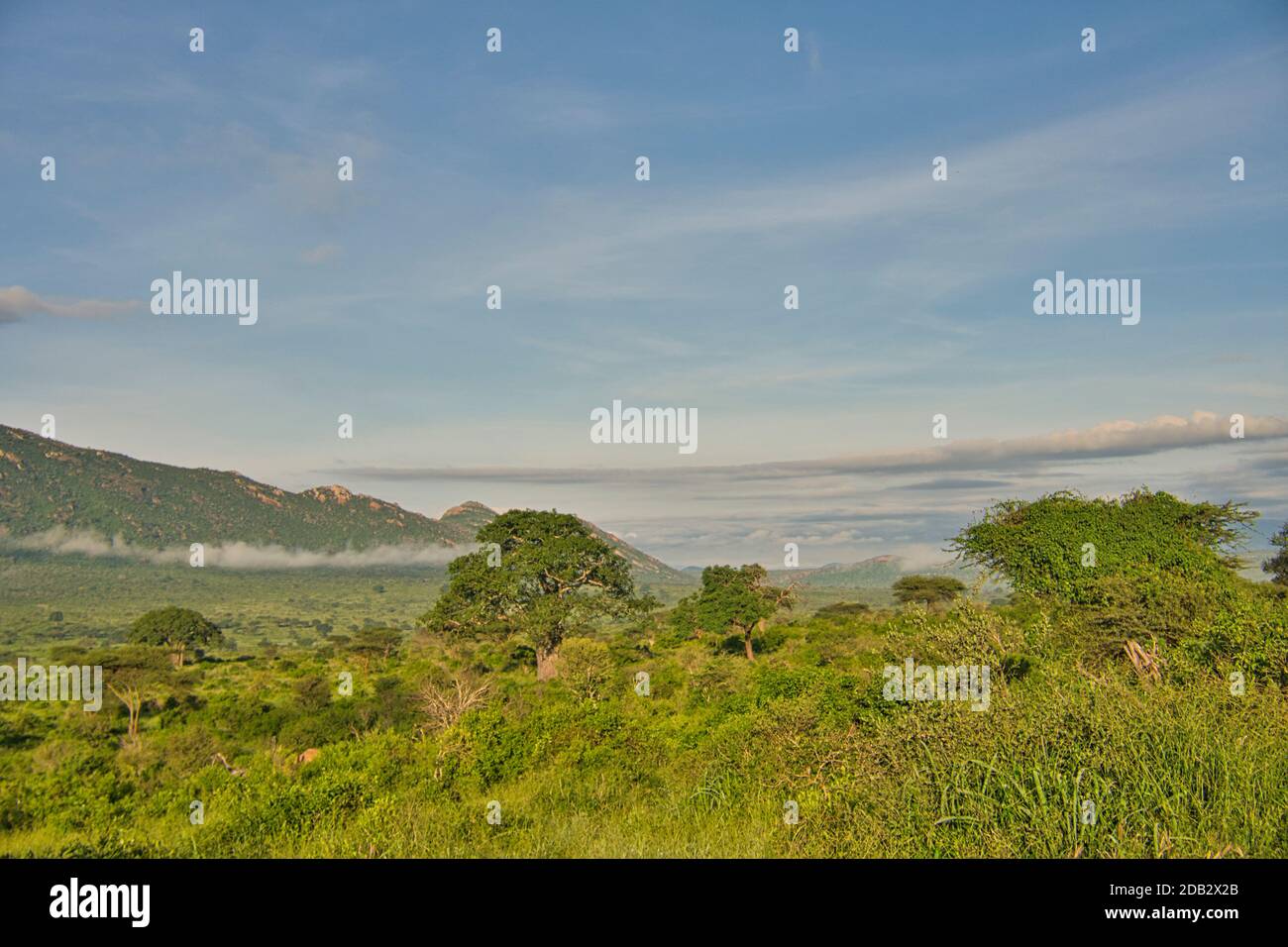 Foto paesaggistiche dal Parco Nazionale Tsavo Est Tsavo Ovest e Amboseli Foto Stock
