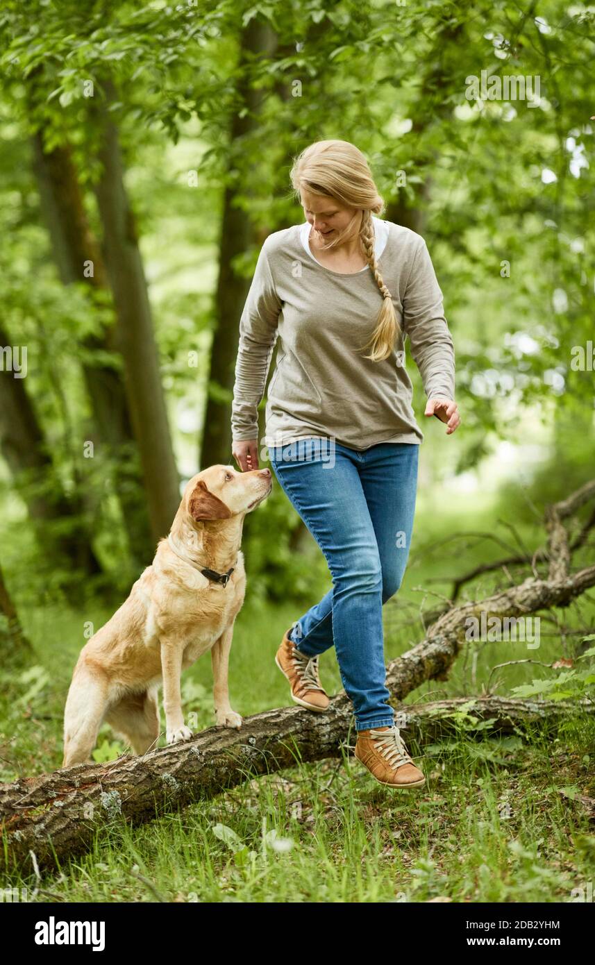 Donna e Labrador Retriever si arrampicarono sul tronco dell'albero. Non per guide animali fino al 9/2022 Foto Stock