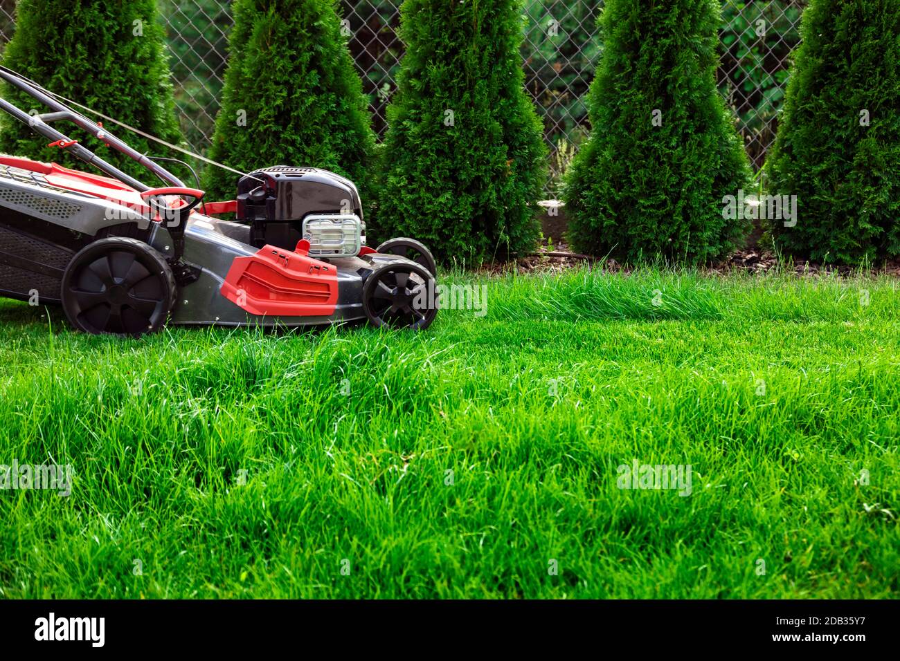 Tosaerba il taglio di erba verde nel cortile posteriore Foto Stock