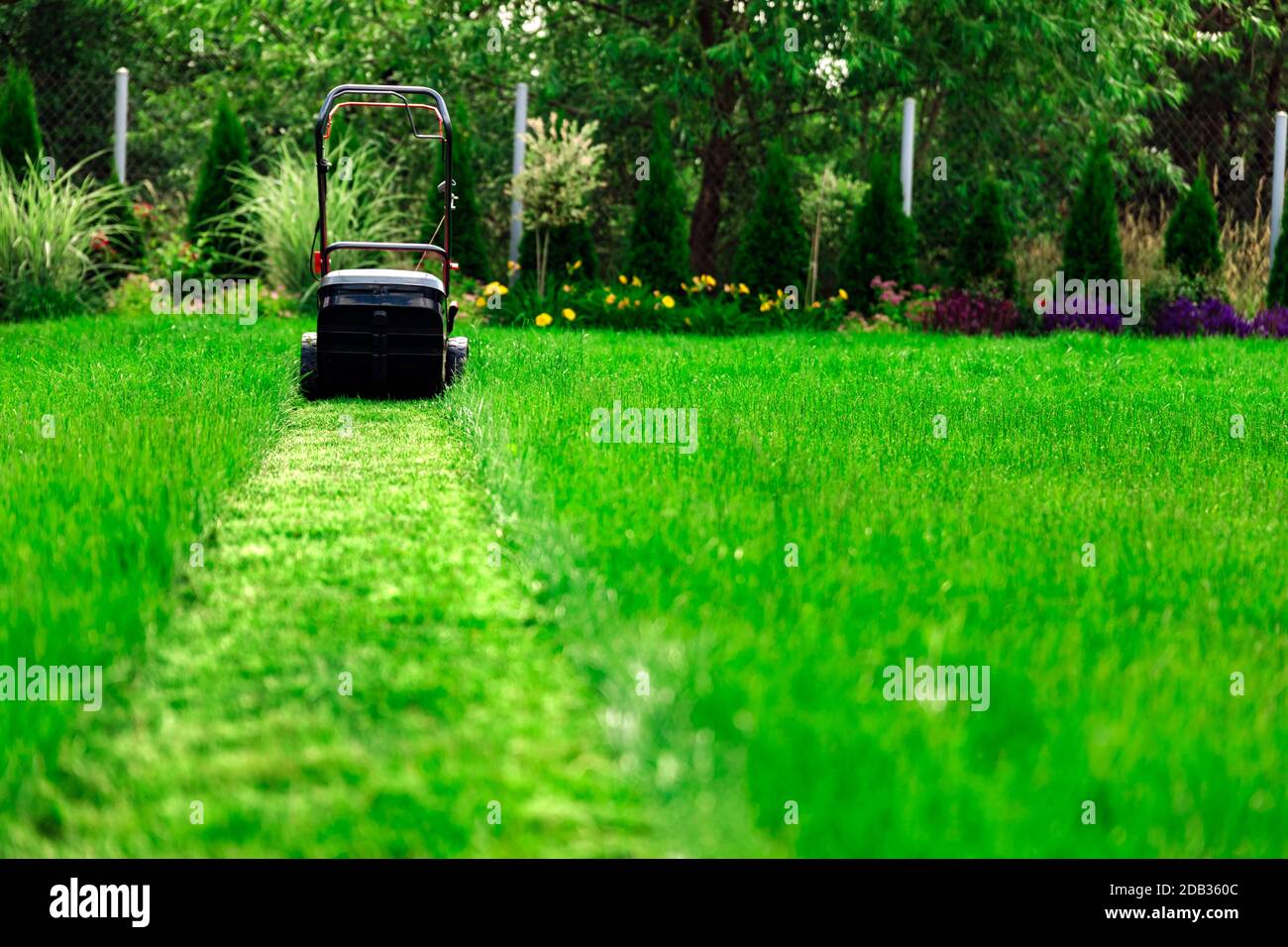 Tosaerba il taglio di erba verde nel cortile posteriore Foto Stock