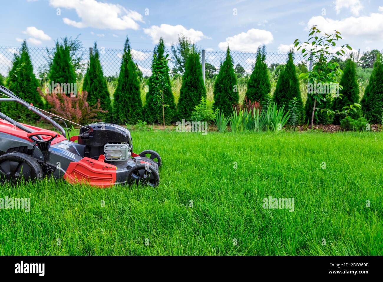 Tosaerba il taglio di erba verde nel cortile posteriore Foto Stock