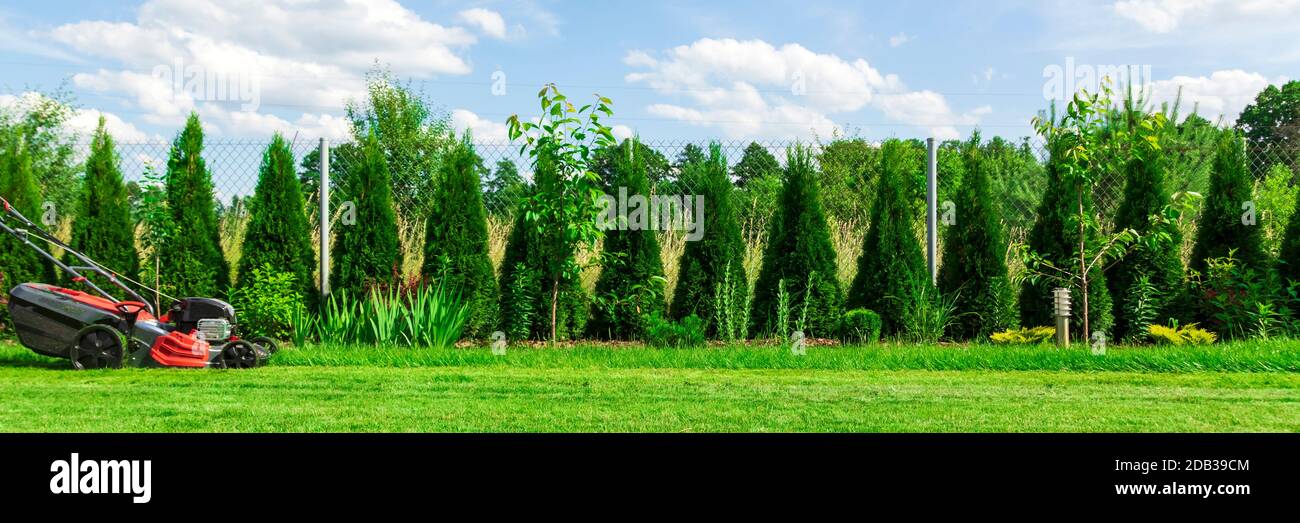 Tosaerba il taglio di erba verde nel cortile posteriore Foto Stock