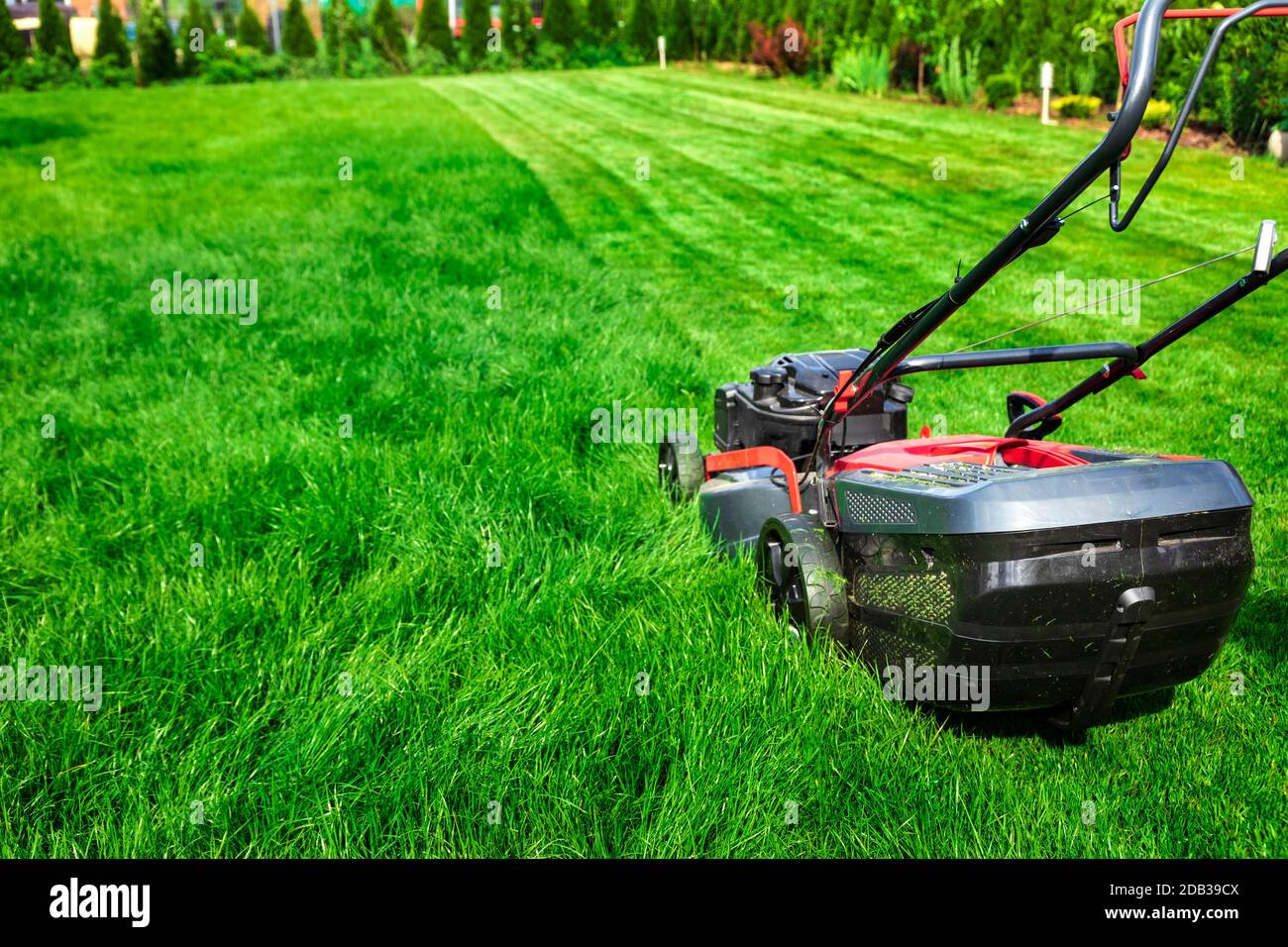 Tosaerba il taglio di erba verde nel cortile posteriore Foto Stock