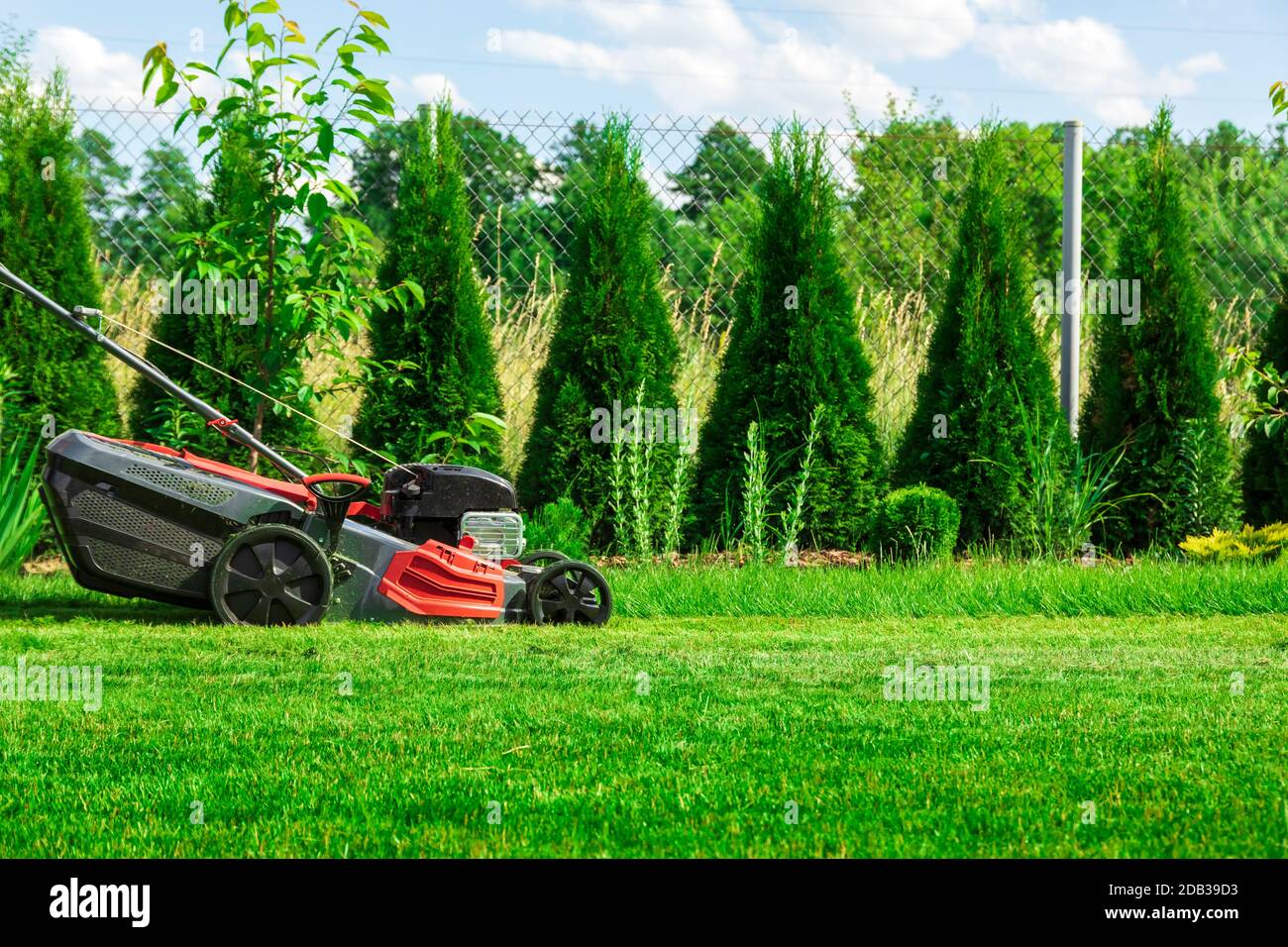 Tosaerba il taglio di erba verde nel cortile posteriore Foto Stock