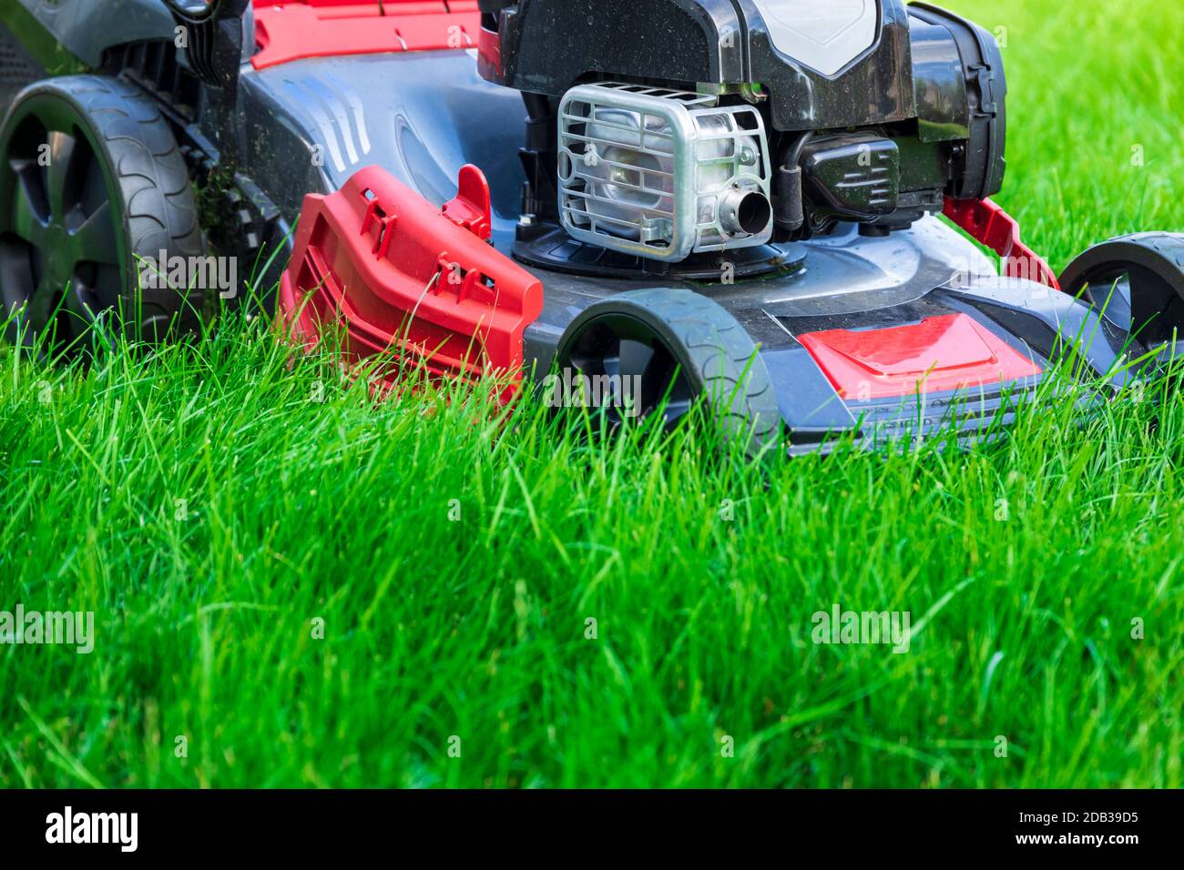Tosaerba il taglio di erba verde nel cortile posteriore Foto Stock