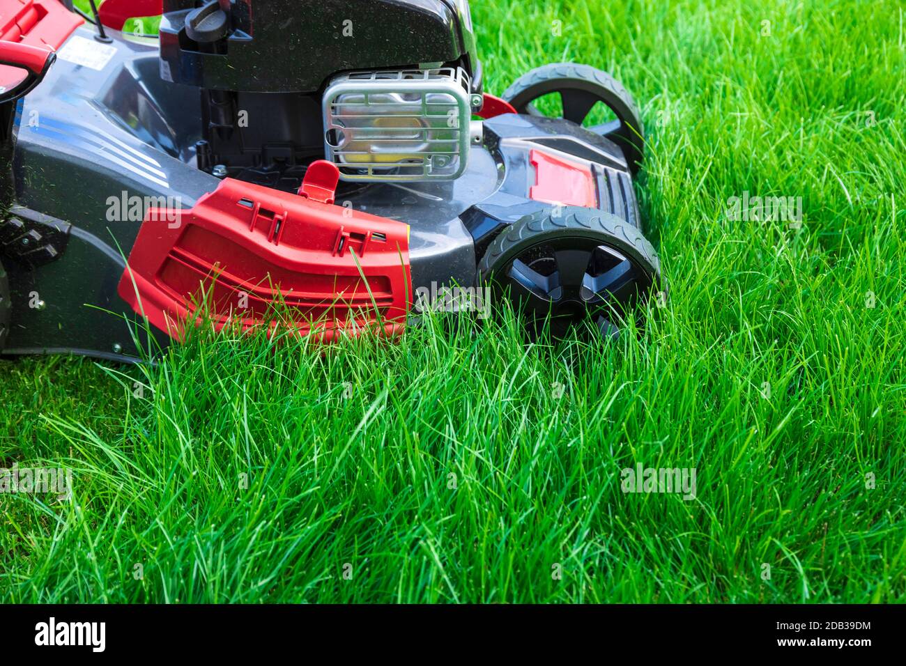 Tosaerba il taglio di erba verde nel cortile posteriore Foto Stock