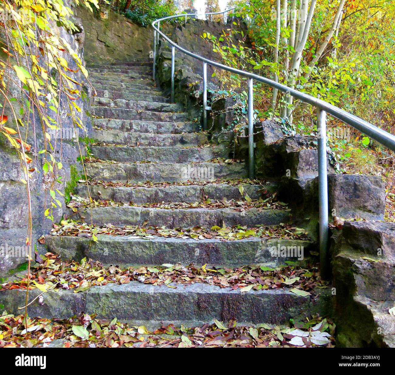 Scala esterna in pietre naturali con una leggera curva piena di foglie autunnali Foto Stock