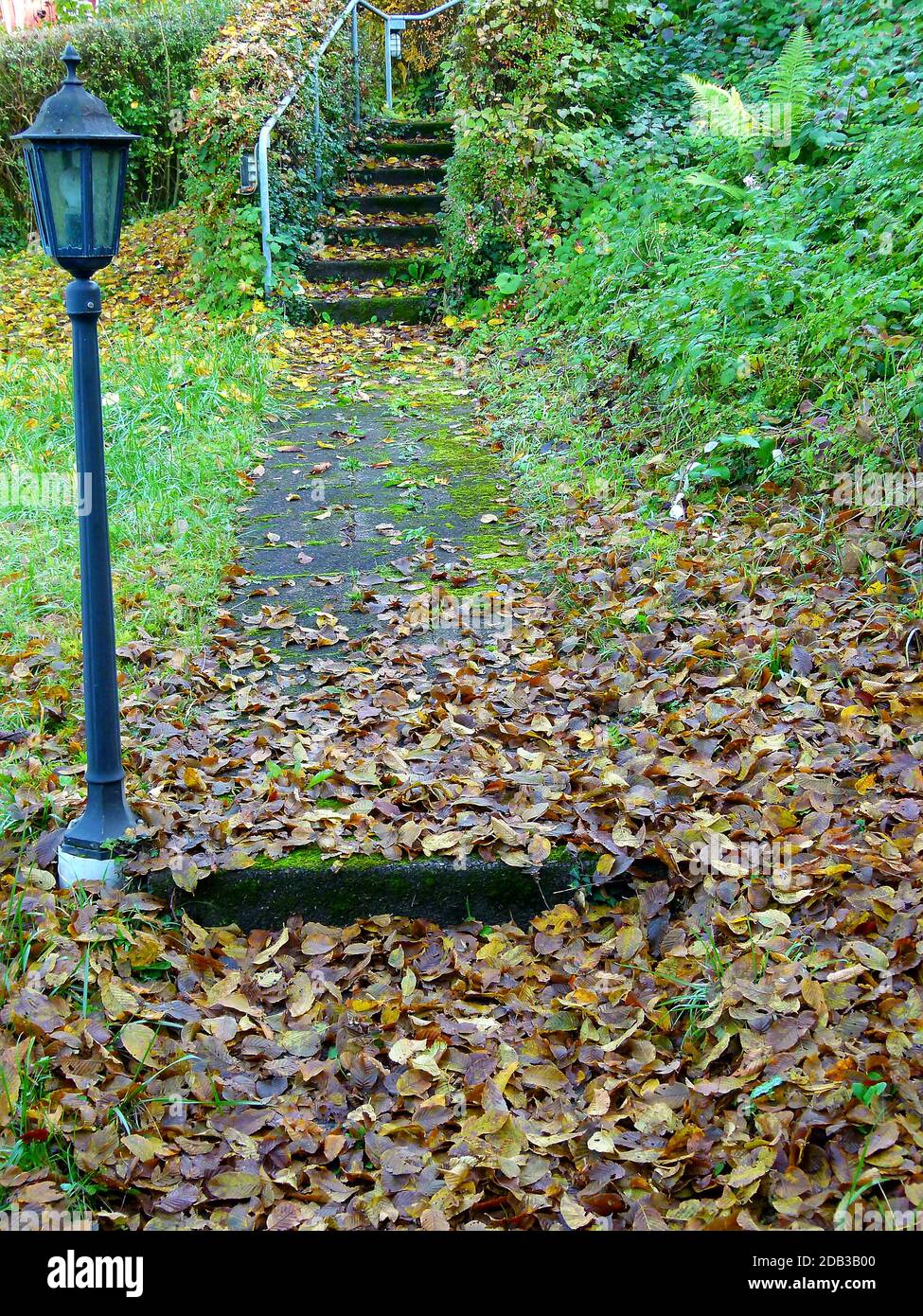 Percorso giardino pieno di foglie autunnali con scale sullo sfondo Foto Stock