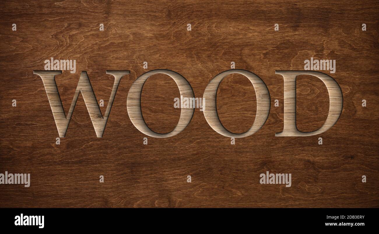 Word WOOD inciso in legno scuro tessitura 3d legno con luce e ombre Foto Stock