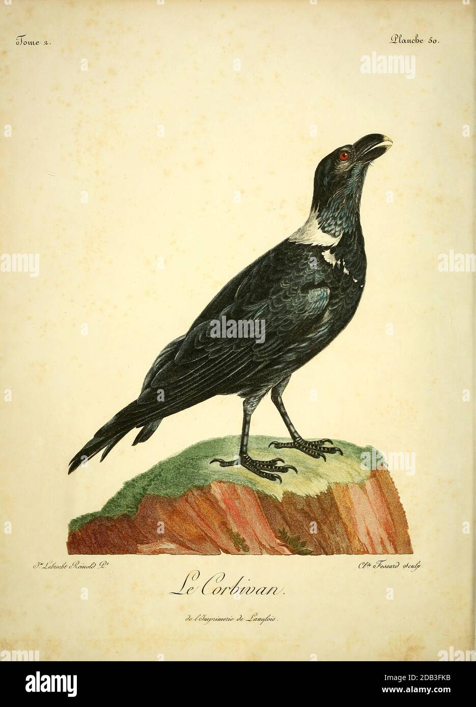 Raven Le Corbeau Immagini E Fotos Stock Alamy