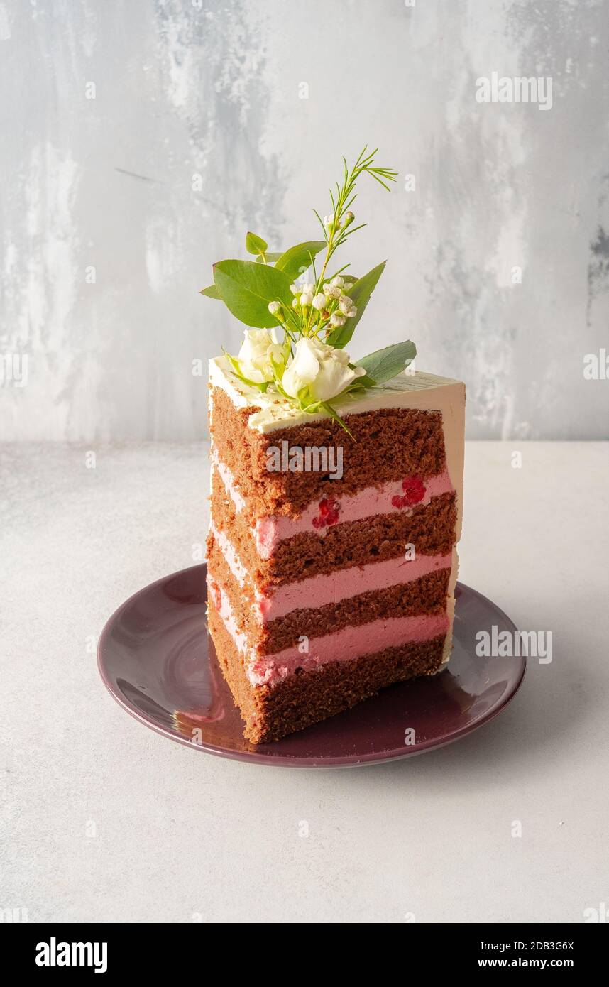 Torta di Celebrazione al cioccolato con crema di farfalle rosa – FOODPIX Foto Stock