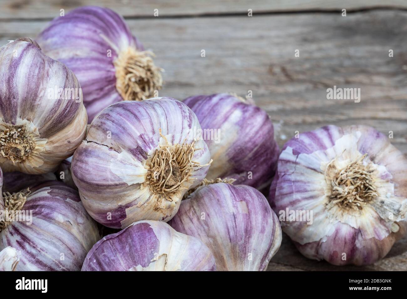 Aglio su legno sfondo vintage. Piantine per piantare aglio. Foto Stock