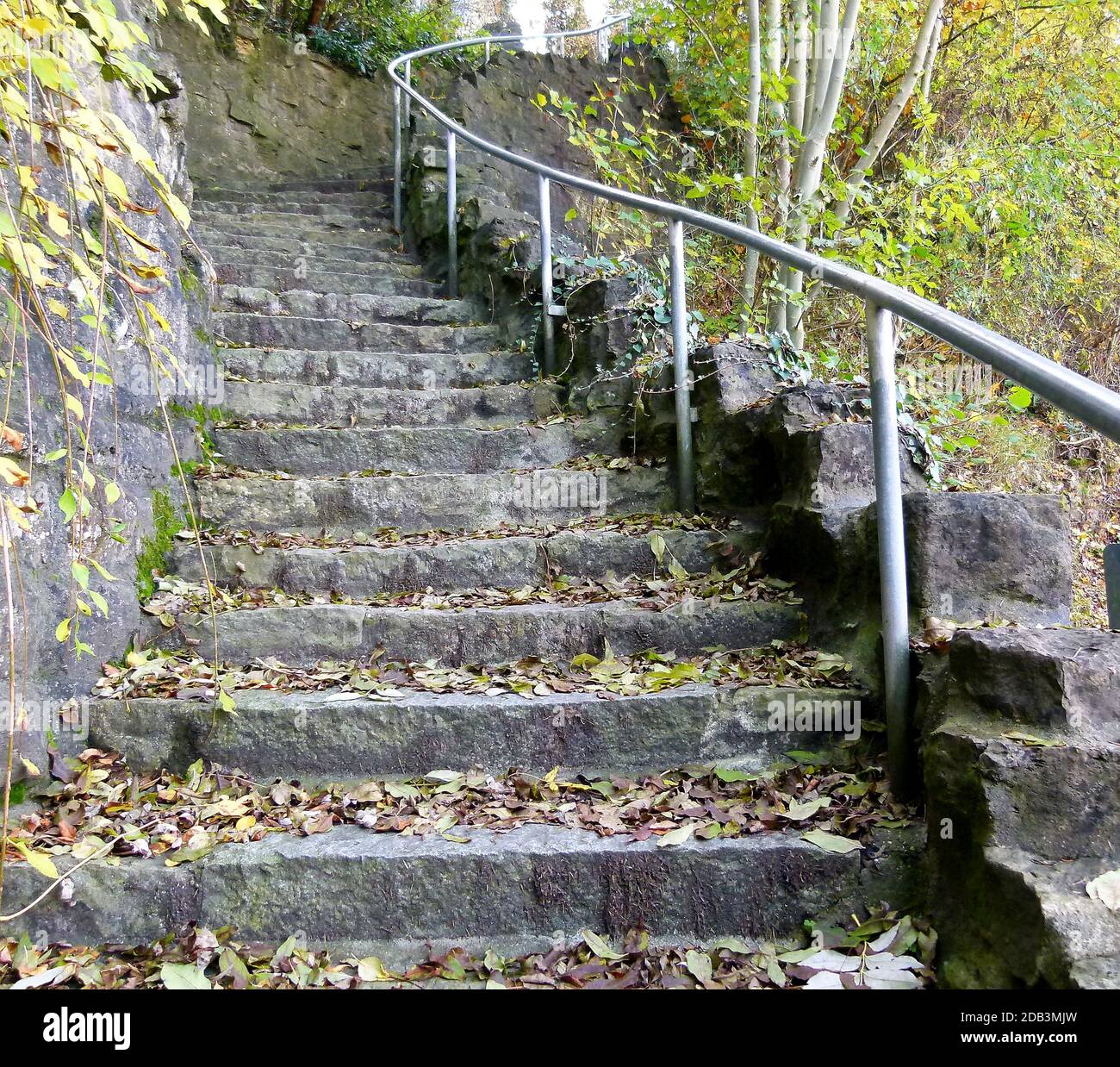 Scala esterna in pietre naturali con una leggera curva piena di foglie d'autunno 2 Foto Stock