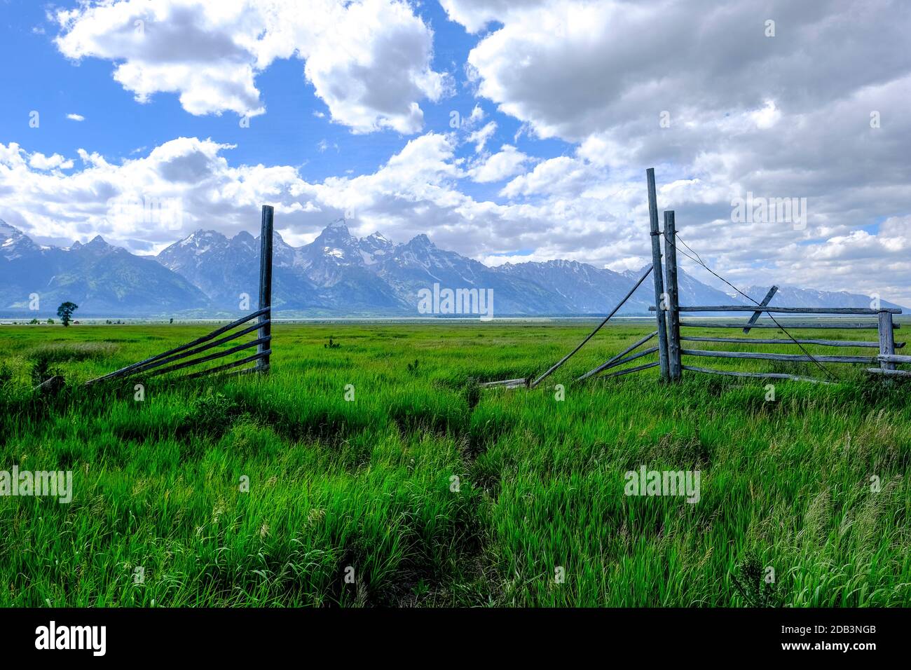 Crumbling gate a Mormon Row, Wyoming, USA Foto Stock