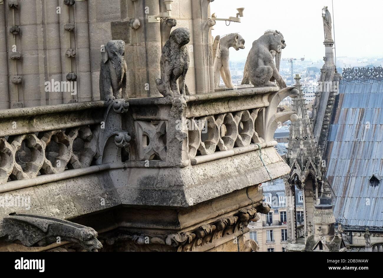 Chimere (doccioni della cattedrale di Notre Dame de Paris con vista su Parigi, Francia Foto Stock