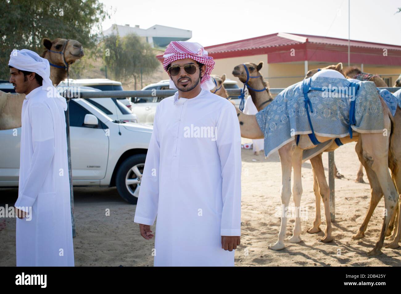 Emirati Arabi Uniti / al Dhaid / Camel proprietario con i suoi cammelli, vicino alla pista di corsa dei cammelli. Foto Stock