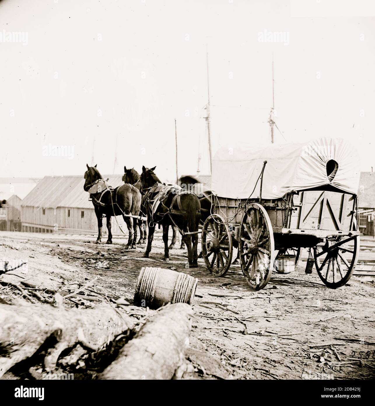 City Point, Virginia (nelle vicinanze). Quattro-mule esercito squadra e carro. Foto Stock