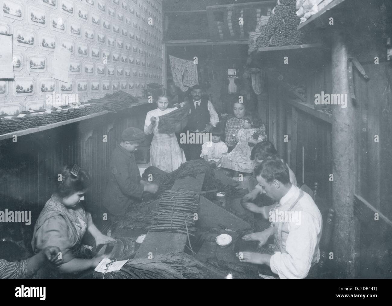 Fabbrica di sigari di F. Delloiacono [?], 205 Atbells Av., Providence, R.I. Il ragazzo di otto anni e la ragazza di dieci anni stanno strippando. Questa camera è il soggiorno, -camera da letto-e-lavoro e confina con il negozio. 23 novembre 1912. Molto sporco e mal tenuto. Foto Stock