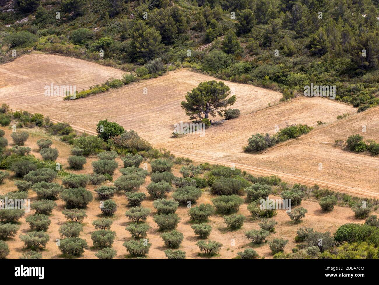 Vista panoramica sulla valle del Luberon dal famoso Les Baux de Provence borgo medievale nel sud della Francia Foto Stock