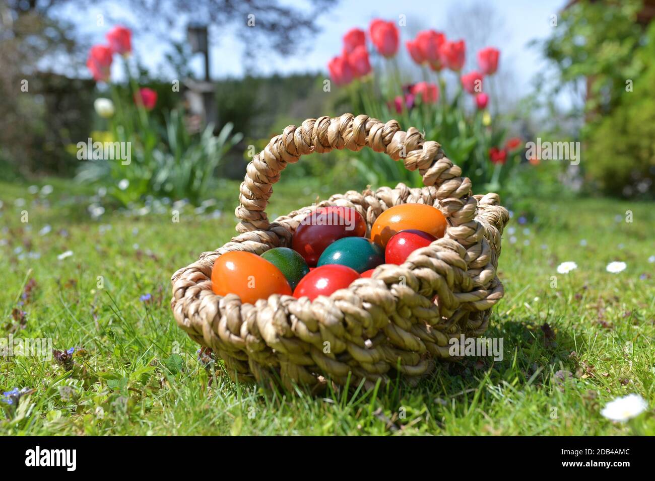 Das Verschenken von Ostereiern ist ein weit Verbreiteter Brauch. Die Tradition vom Eierfärben geht bis ins Mittelalter zurück. - dare via Pasqua, ad esempio Foto Stock