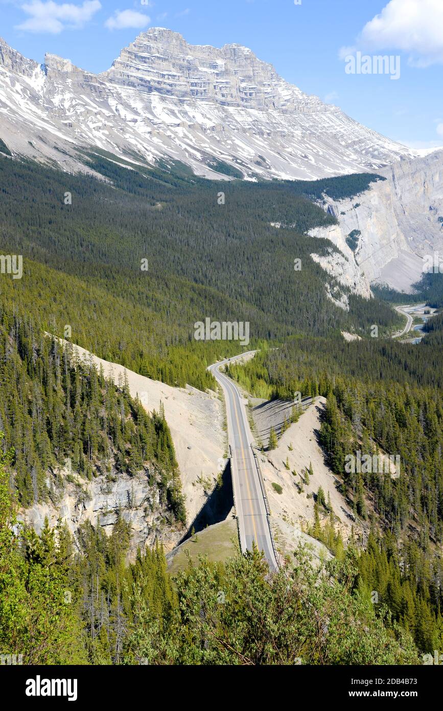 L'autostrada Icefields Parkway nel Jasper National Park in una giornata estiva. Strada tra le Montagne Rocciose canadesi. Strada dei campi di ghiaccio. Foto Stock