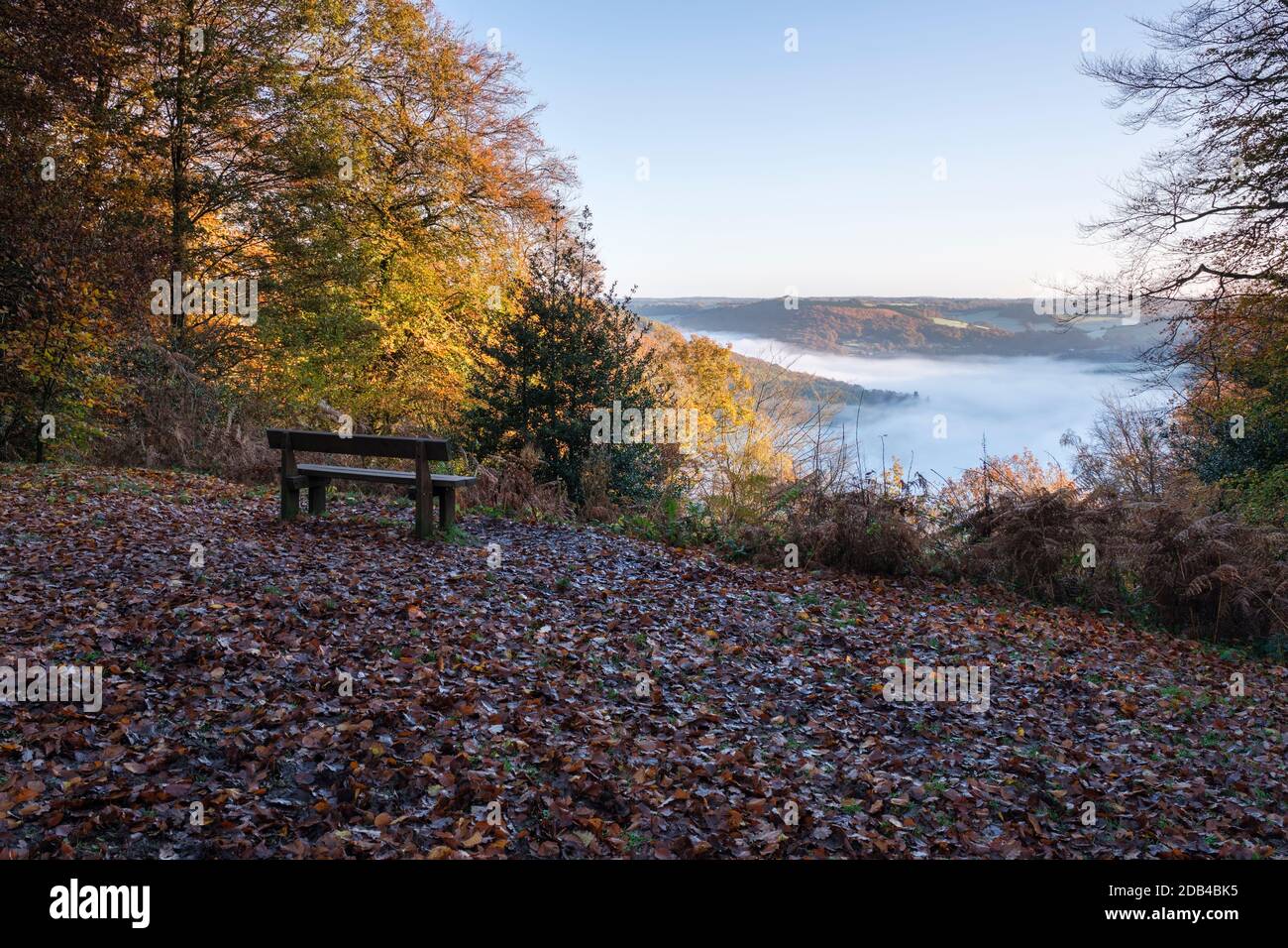 Panca di legno con vista lungo la valle di Wye da legno di cucù vicino a Tintern. Foto Stock