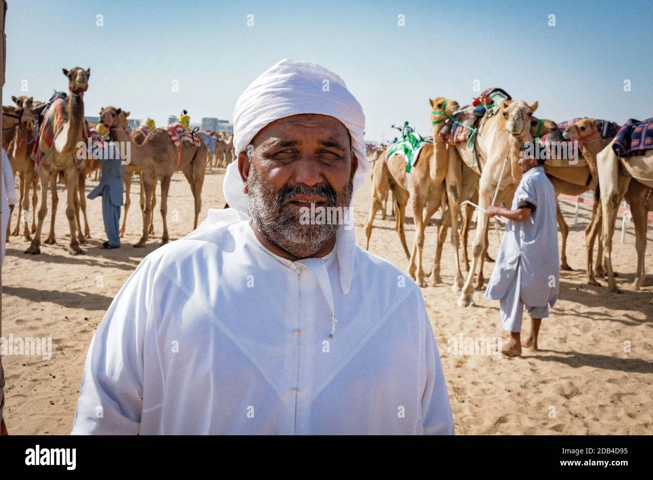 Emirati Arabi Uniti / al Dhaid / allenatori in cammello con i loro cammelli, vicino alla pista di corsa dei cammelli. Foto Stock