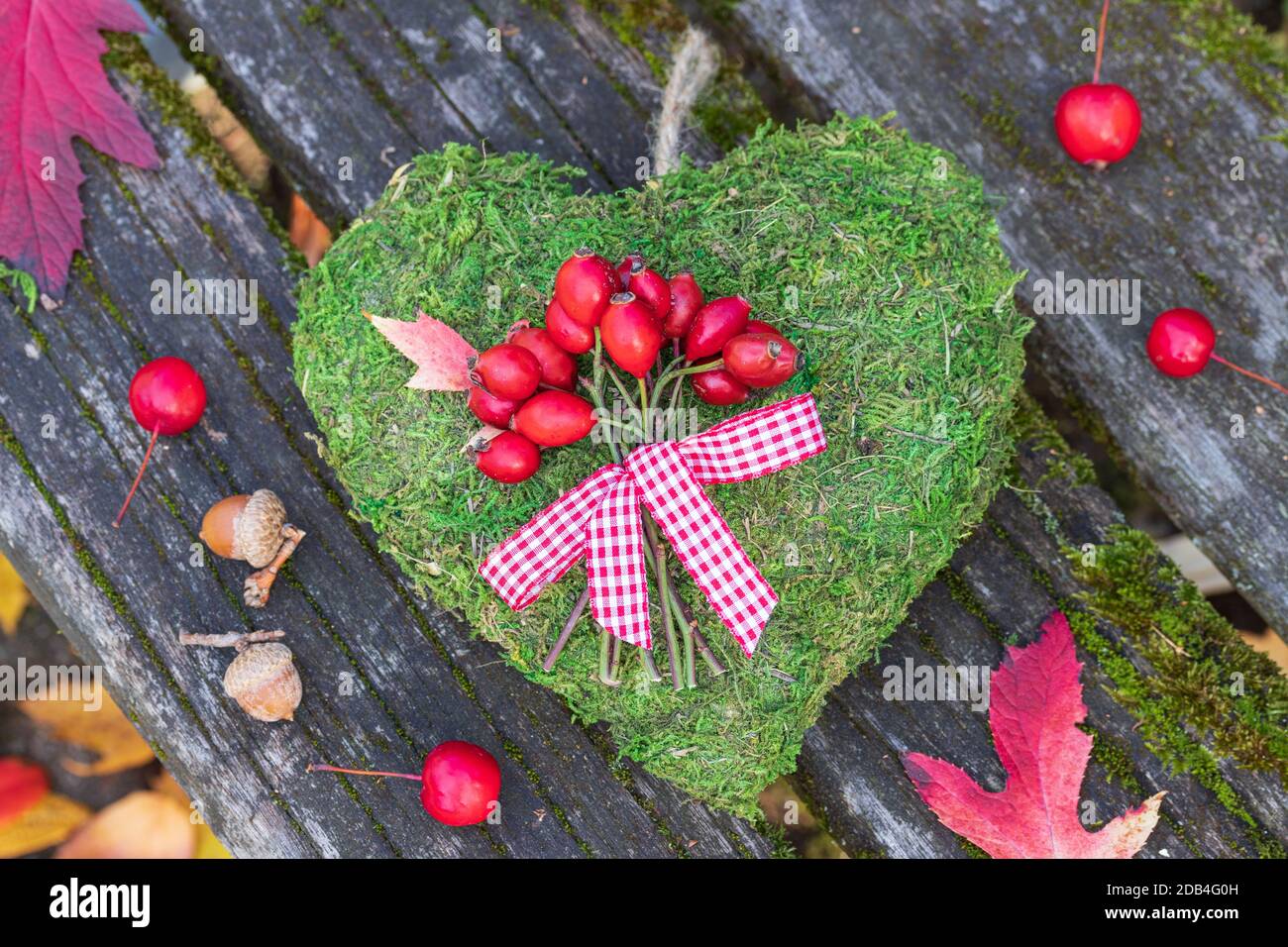 bouquet di fianchi di rose su cuore muschio come decorazione romantica Foto Stock