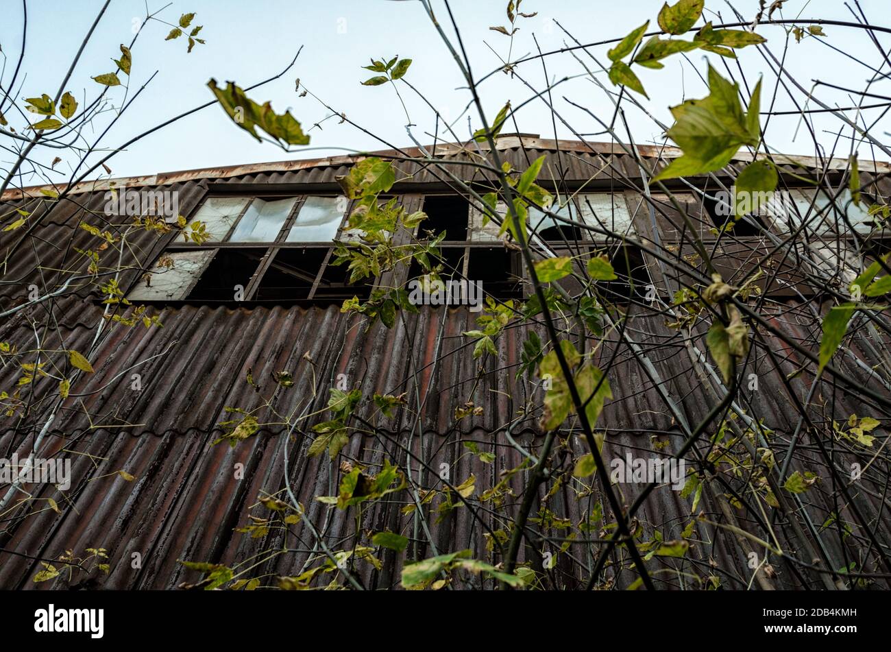 spooky casa abbandonata tra gli alberi in Chernobyl Ucraina Foto Stock