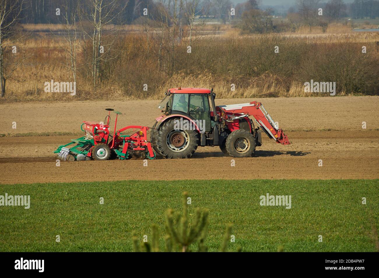 Bełdów, POLONIA - 17 marzo 2020: Lavori primaverili sul campo. Il trattore con seminatrice semina la granella Foto Stock