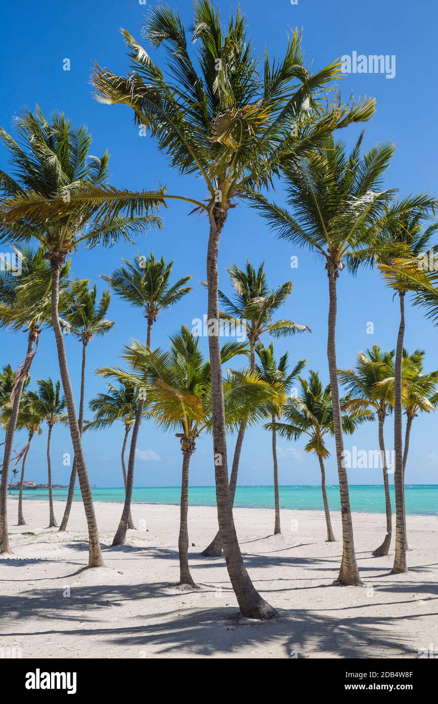 Repubblica Dominicana, Punta Cana, Cap Cana, Juanillo Beach Foto Stock