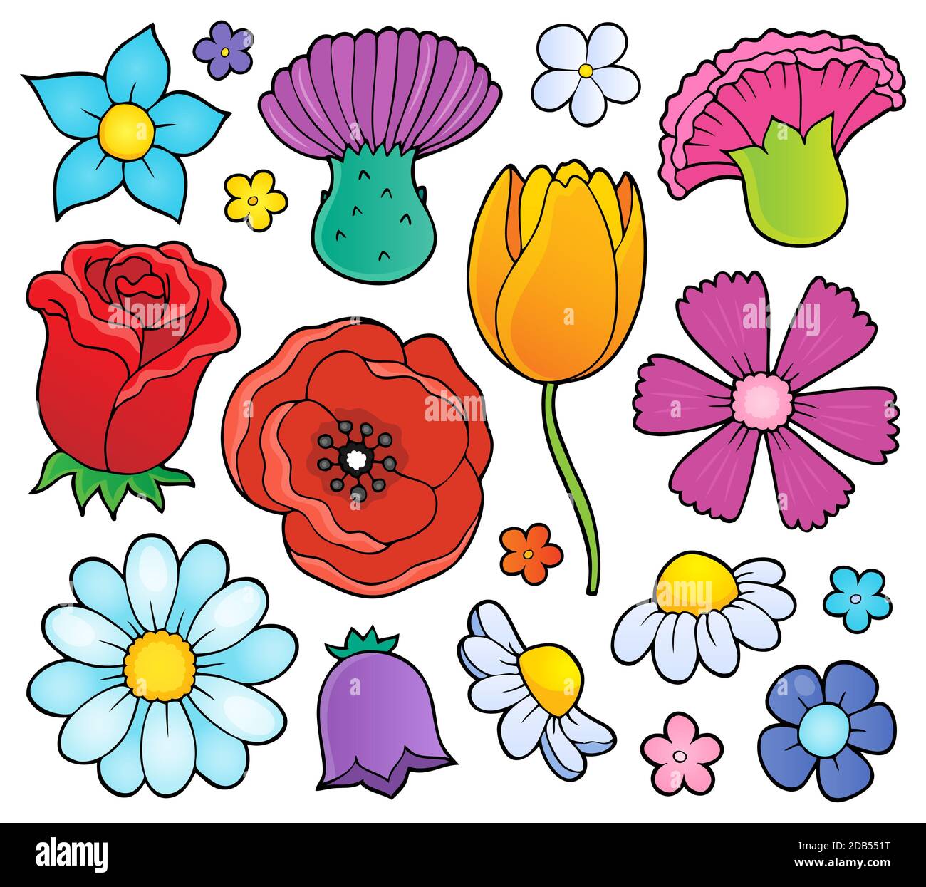 Estamos Chegando a Imagem Escrita De Teste Ao Vivo Com Design Floral  Ilustração Stock - Ilustração de arte, escrito: 211868036