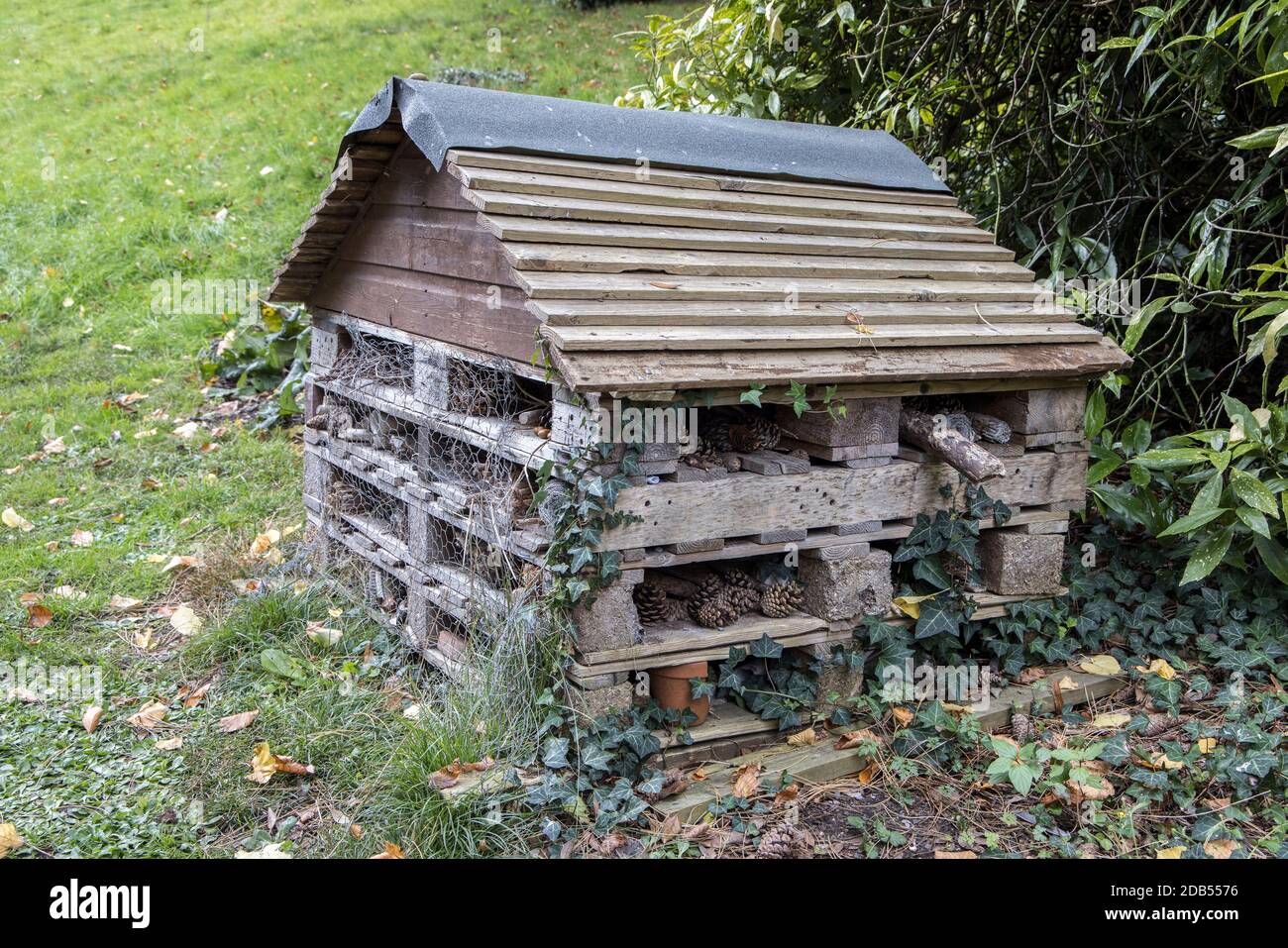 Bug house, creata per insetti, nei giardini Linda Vista, Abergavenny, Galles, Regno Unito Foto Stock
