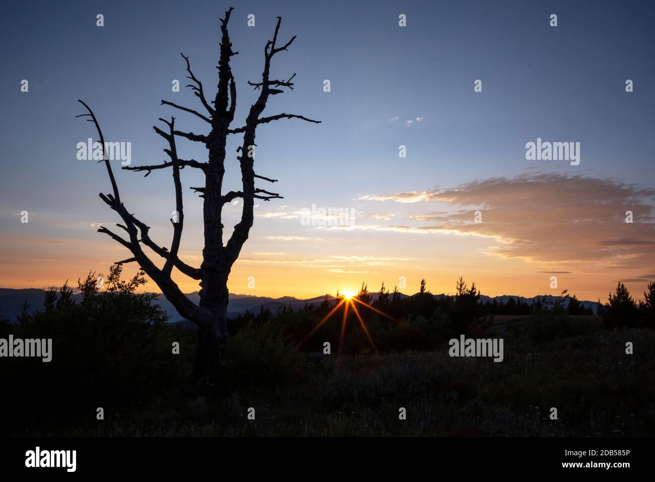 WA18126-00...WASHINGTON - Tramonto sulla catena montuosa Cascade vista da Cooper Mountain si trova sopra il lago Chelan nel Okanogan Wenatchee Natio Foto Stock