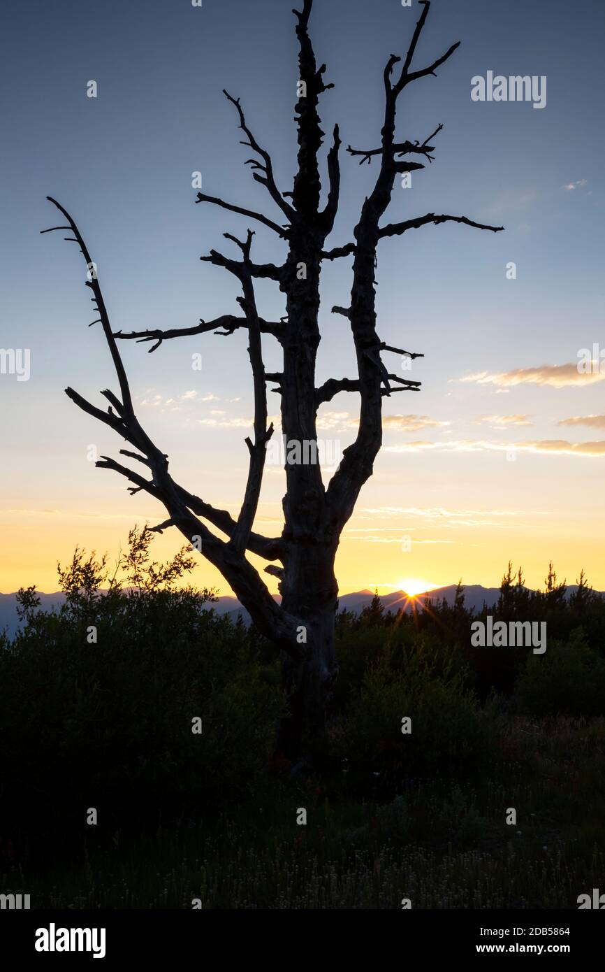 WA18127-00...WASHINGTON - Tramonto sulla catena montuosa Cascade vista da Cooper Mountain si trova sopra il lago Chelan nel Okanogan Wenatchee Natio Foto Stock