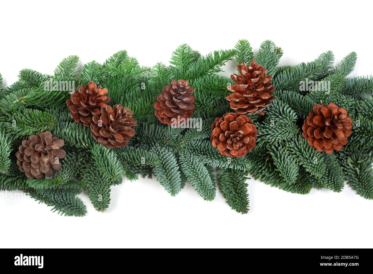 Cornice di confine di Natale di rami di abete nobile naturale e. coni isolati su sfondo bianco Foto Stock