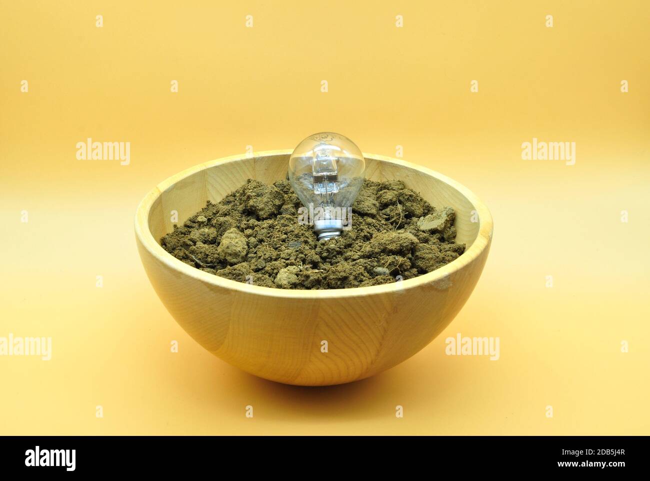 Idee in crescita, foto concettuale di una lampadina piantata in un elegante vaso di legno Foto Stock