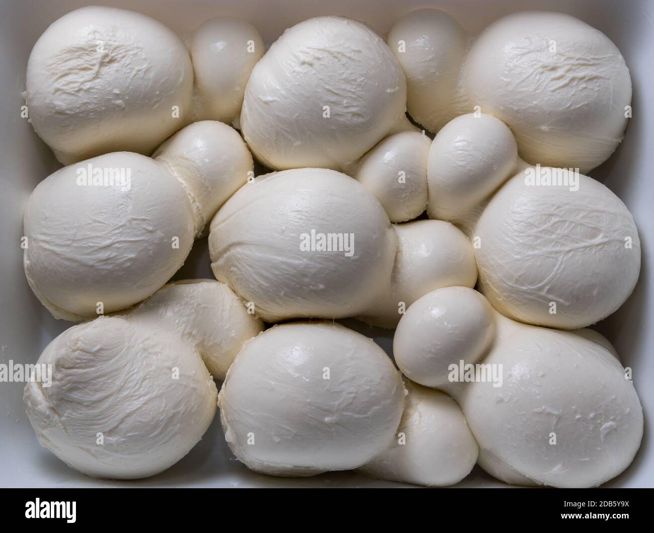 Mozzarella fior di latte, formaggio tipico dell'Italia meridionale prodotto con latte di bufala Foto Stock