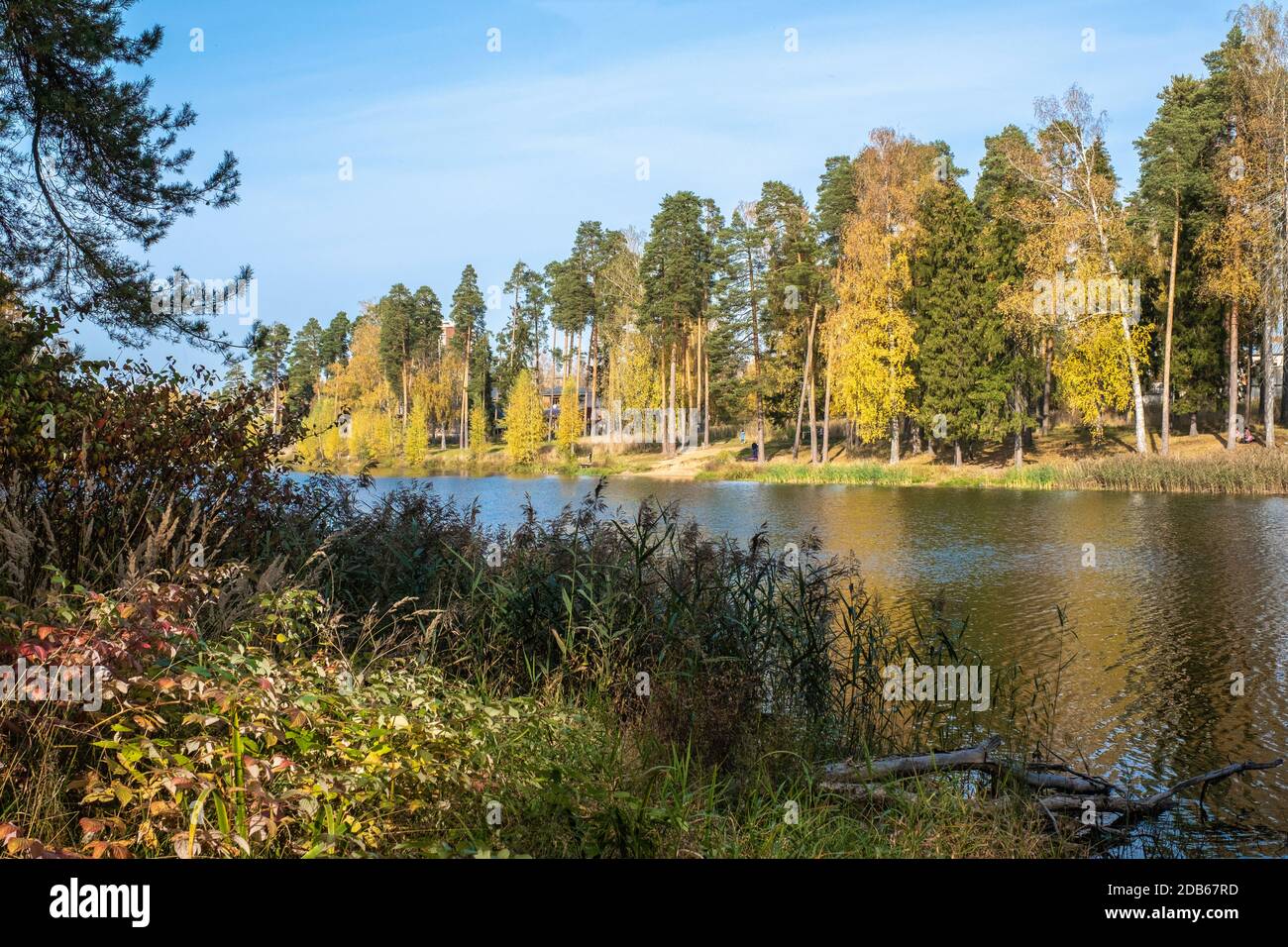Paesaggio autunnale con uno stagno in una giornata di sole nella città di Kokhma, regione di Ivanovo. Foto Stock