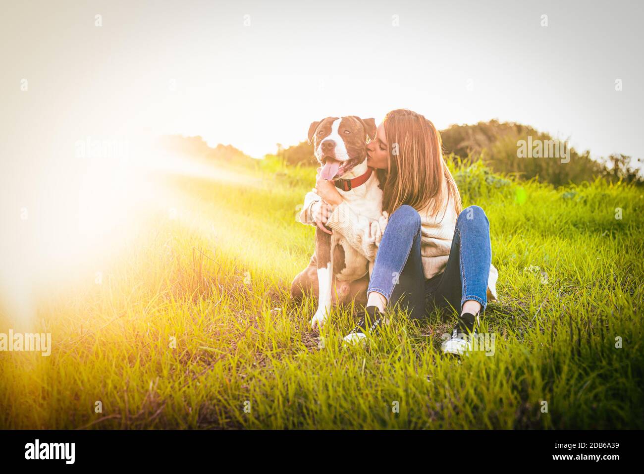 Bella giovane donna baciare cane nel campo. American Staffordshire terrier Foto Stock