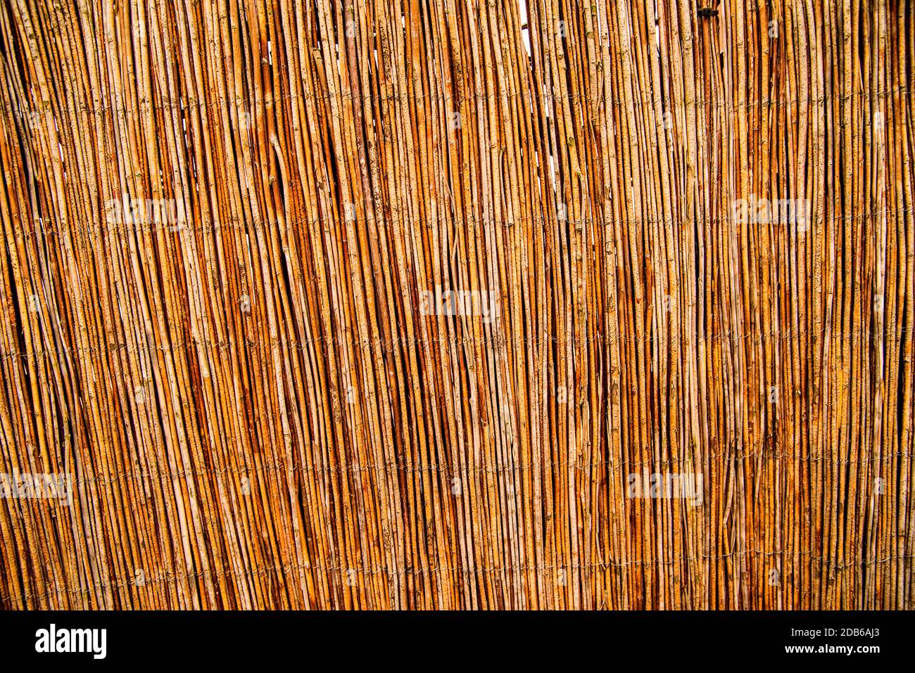 Protezione dello schermo da un tappetino reed Foto Stock