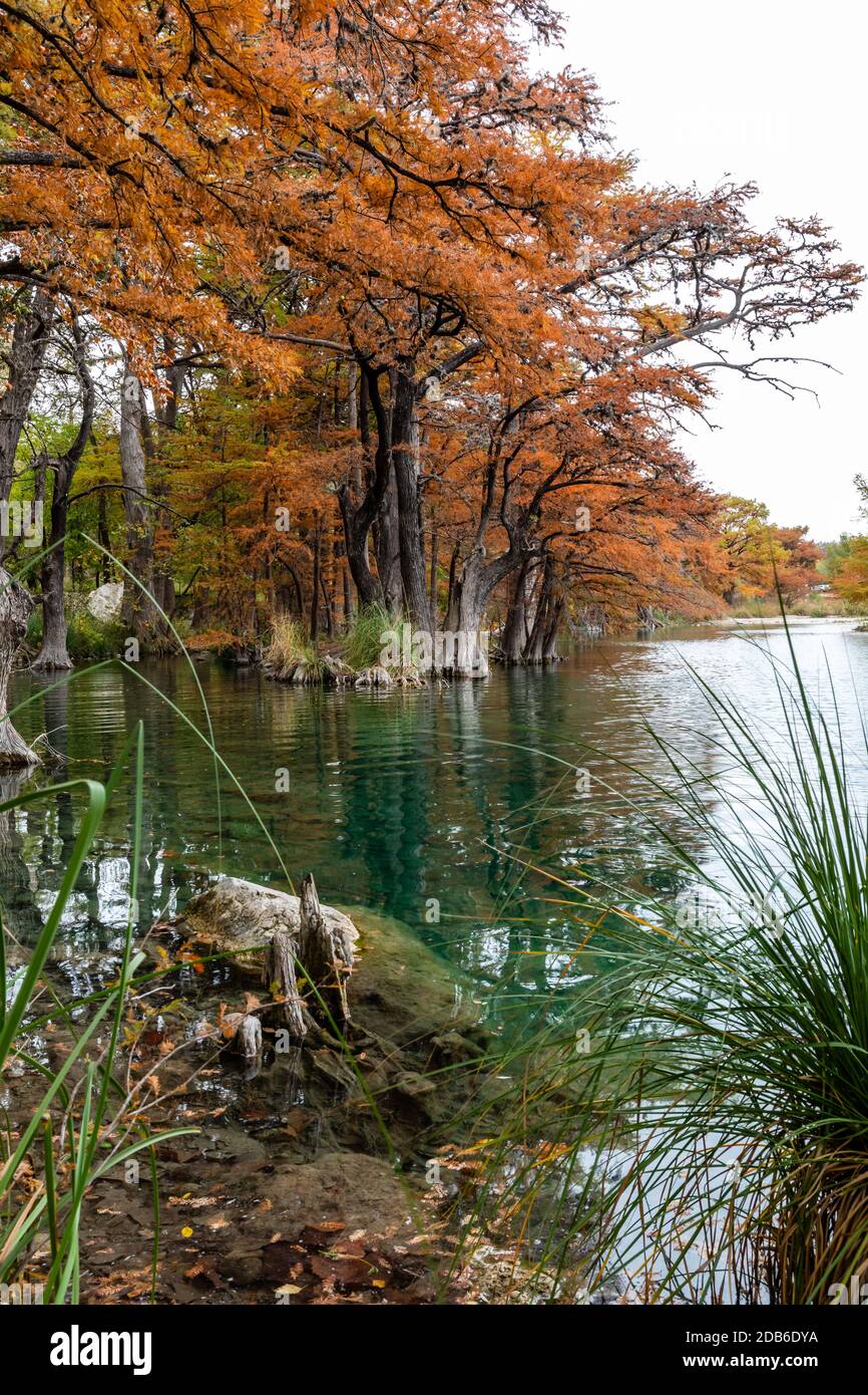 Colori autunnali nel Texas Hill Country Foto Stock