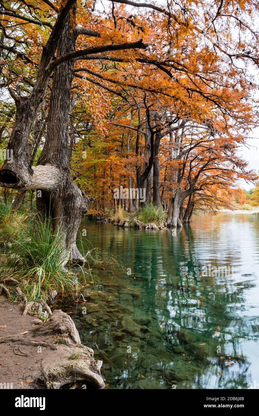 Colori autunnali nel Texas Hill Country Foto Stock